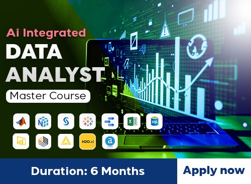 Data Analyst