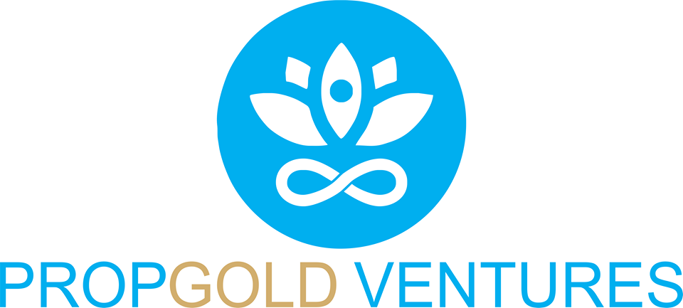 Propgold Ventures logo