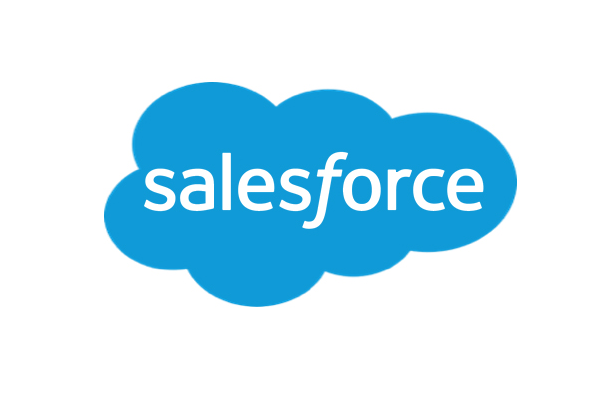 sales force india logo