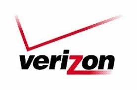 Verizon Data Services India Pvt.Ltd logo