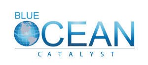 Blue Ocean Catalyst Private Limited logo