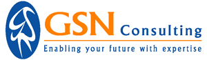 GSN Consulting logo