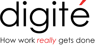 Digite Infotech Pvt Ltd logo