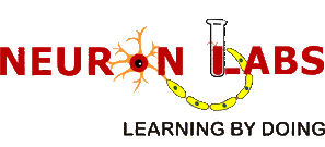 Neuron Labs logo