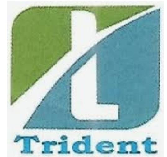 Trident Finserv logo